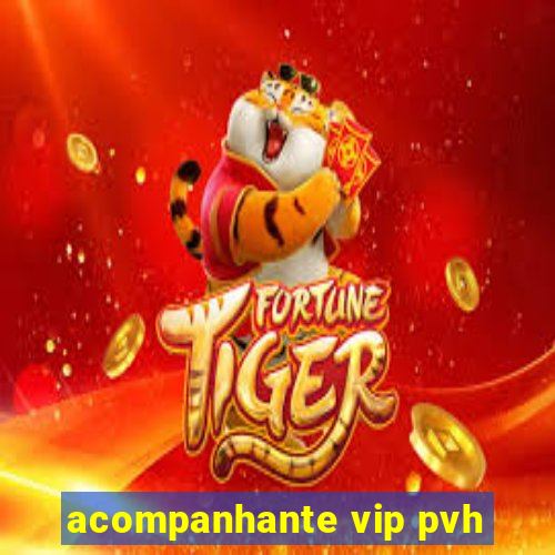 acompanhante vip pvh